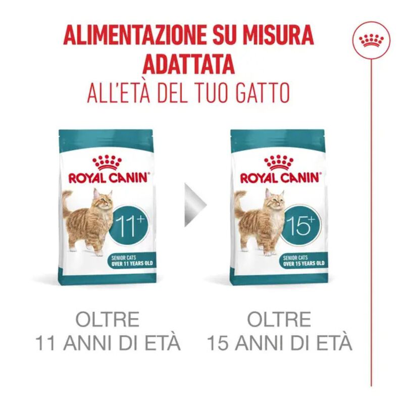Royal Canin Cat Senior Ageing +11 anni 4 kg