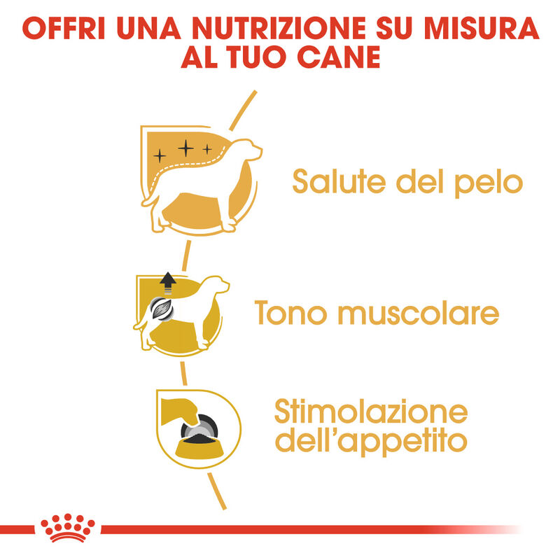 Royal Canin Dog Adult e Senior Barboncino 85 gr