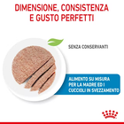 Royal Canin Dog Adult e Puppy Starter 195 gr