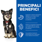 Hill's Science Plan Perfect Digestion Dog Adult Small & Mini Mousse con tacchino 200gr