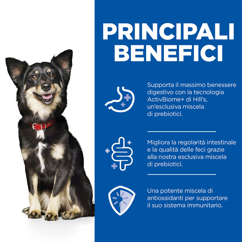Hill's Science Plan Perfect Digestion Dog Adult Small & Mini Mousse con tacchino 200gr