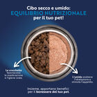 Monopro Dog Adult Mini Grain Free Anatra 2 kg