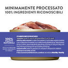 Schesir Cat Adult Tonnetto con manzo jelly 85g