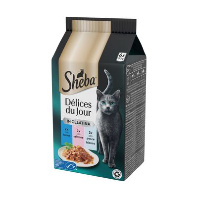 Sheba Cat Delice du Jour Tonno con Salmone e Pesce Bianco in Gelatina 6 pz x 50 gr