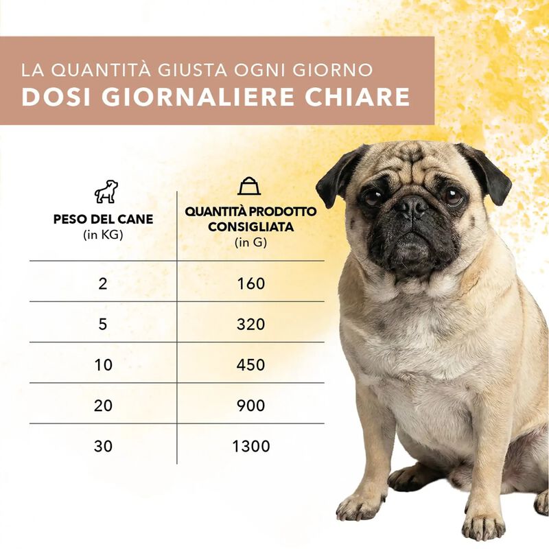 Tasty Pet Polpette in Salsa per cani con Tacchino, Mela e Zucca 400 gr