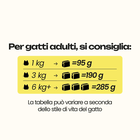Cat Heroes Pat&eacute; Solo Maiale 95gr