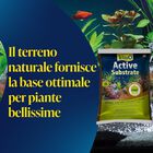 Tetra ActiveSubstrate 3 lt