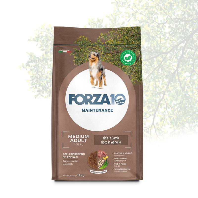 Forza 10 Dog Adult Medium Maintenance  Agnello 12kg