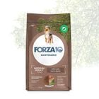 Forza 10 Dog Adult Medium Maintenance Agnello 12kg image number 0