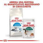 Royal Canin Cat Senior Indoor +7 anni 400 gr