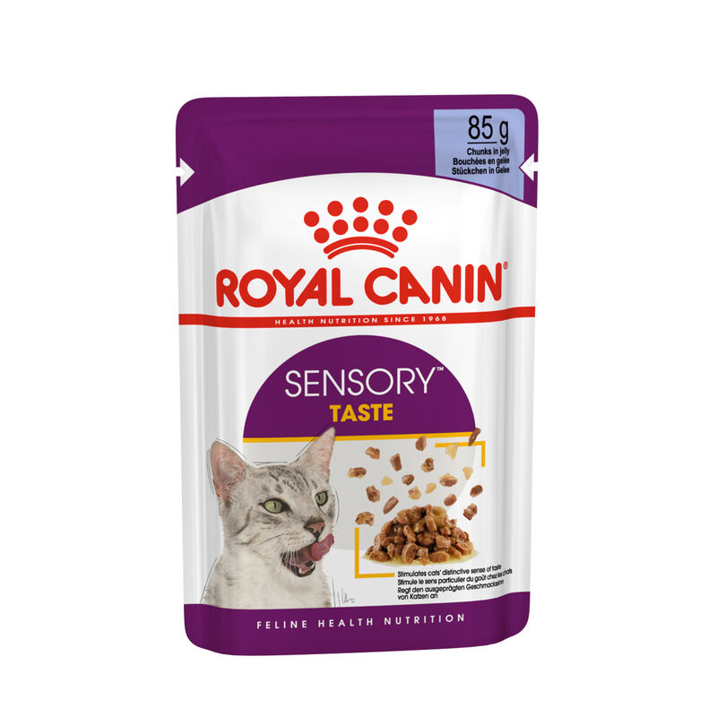 Royal Canin Cat Adult Sensory Taste Jelly 85 gr