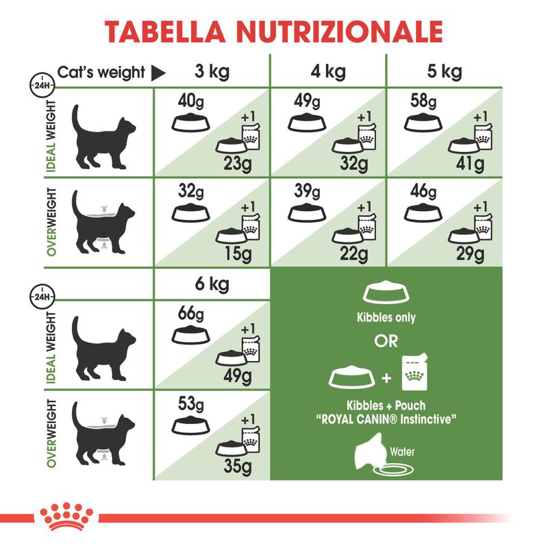 Royal Canin Cat Adult Outdoor 2 kg