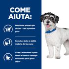 Hill's Prescription Diet Dog Mini Metabolic + Mobility 1 kg