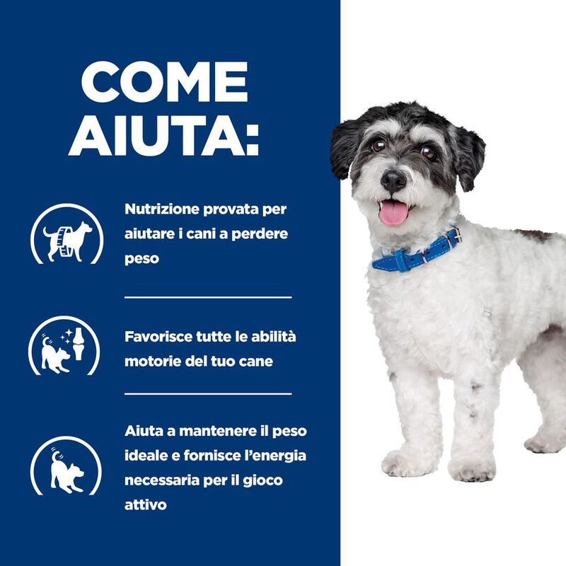 Hill's Prescription Diet Dog Mini Metabolic + Mobility 1 kg