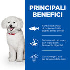 Hill's Science Plan Hypoallergenic Dog Adult Small & Mini Salmone 1,5Kg