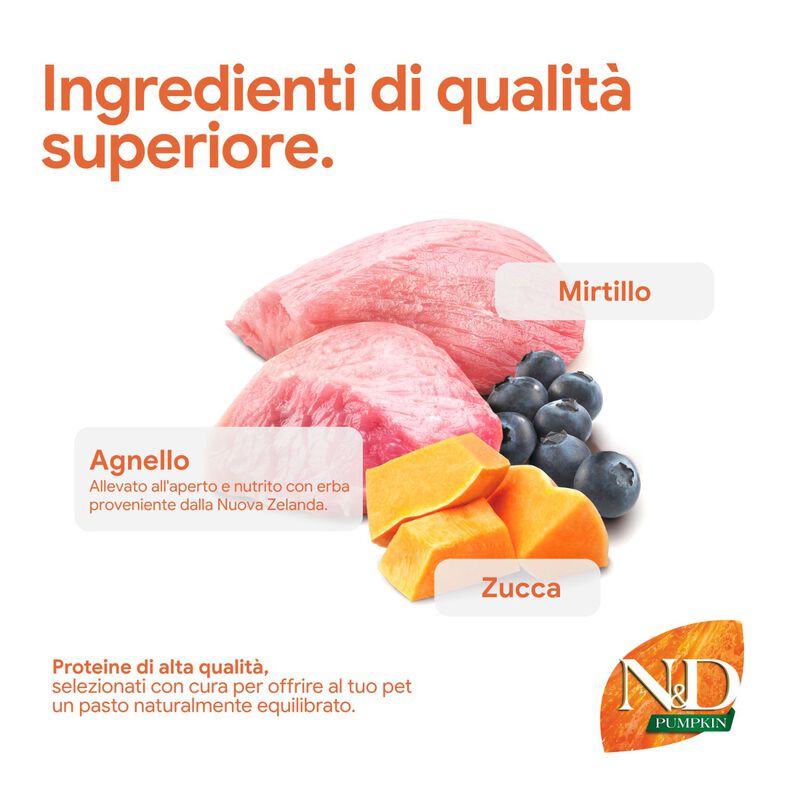 N&D Farmina Pumpkin Neutered Cat Agnello e Mirtillo 300 gr