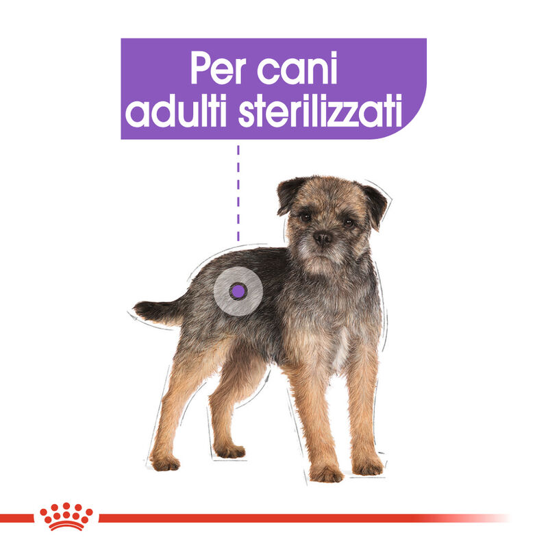 Royal Canin Dog Adult Mini Sterilised Care 3 kg