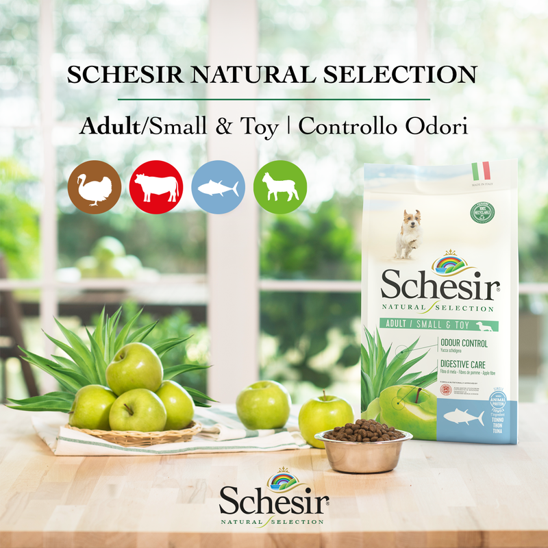 Schesir Natural Selection Dog ricco in tacchino 2,24 kg