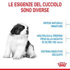 Royal Canin Dog Giant Puppy 15 kg