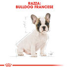 Royal Canin Dog Puppy French Bulldog 1 kg