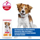 Hill's Science Plan Dog Adult Medium Light al Pollo 14 kg