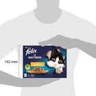 Felix Le Ghiottonerie Cat Le Variet&agrave; 72 x 85 gr