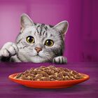 Whiskas Pranzetti Carni Miste in Salsa con Manzo e Agnello 6x50gr