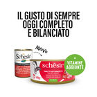 Schesir Cat Tonnetto con Gamberetti in gelatina 140 gr