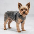 Trixie Premium Pettorina ad H Color Verde Tg XS-S