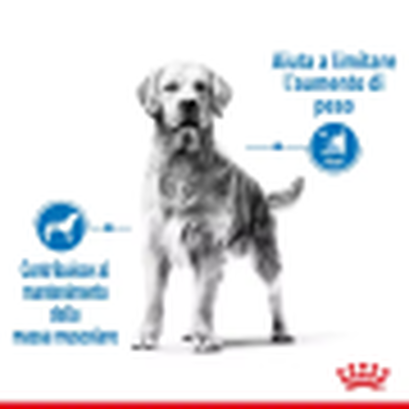 Royal Canin Dog Maxi Adult Light Weight Care 3 kg