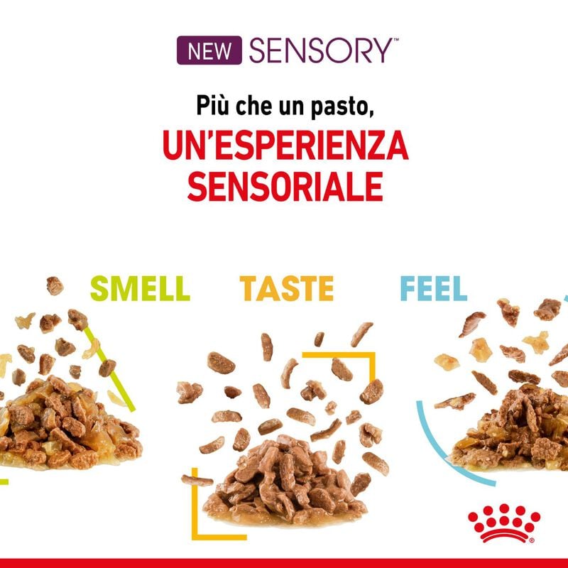 Royal Canin Cat Adult Sensory Feel Jelly 85 gr Royal Canin Cat Adult Sensory Feel Jelly 85 gr