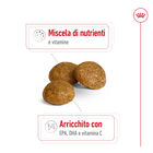 Royal Canin Dog Adult 8+ X-Small 500 gr