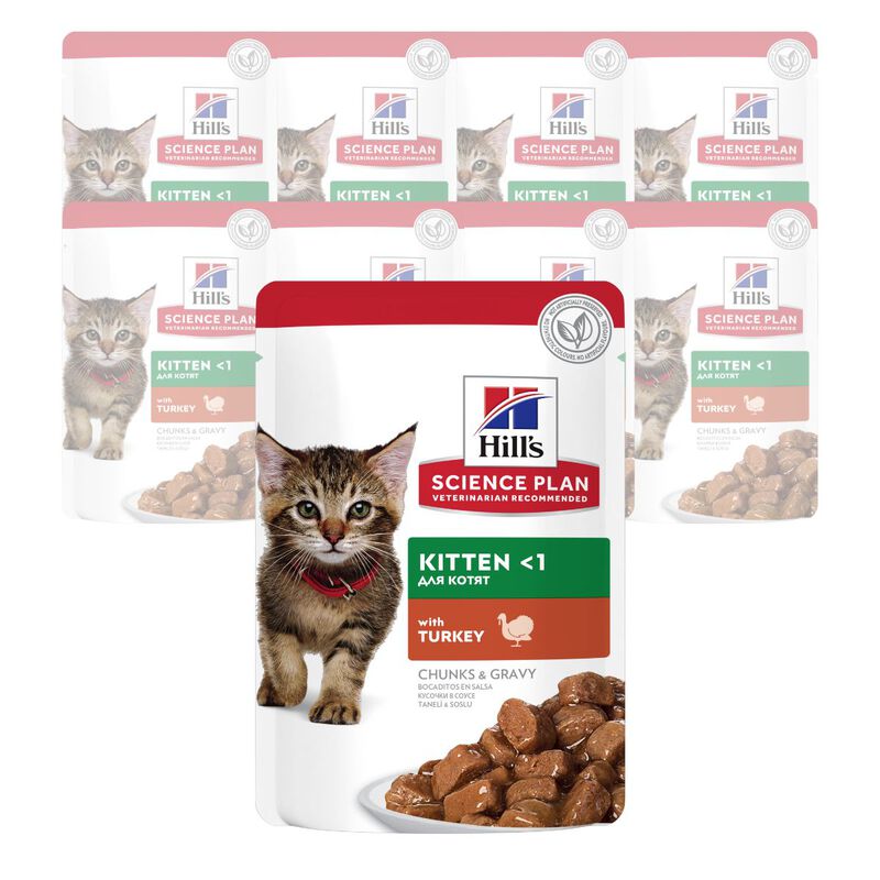 Hill's Science Plan Cat Kitten con Tacchino Bustina 85 gr