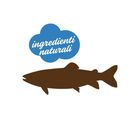 Stuzzy Cat Pat&eacute; con Trota 100 gr