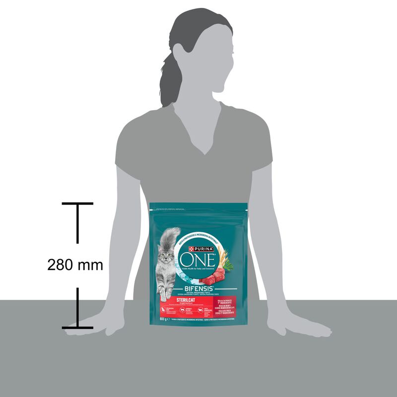 Purina One Bifensis Cat Sterilcat Manzo e Frumento 800 gr