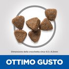 Hill's Science Plan Cat Kitten con Tonno 1,5 kg