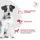 Royal Canin Veterinary Diet Small Dog Adult Glycobalance 1,5 kg