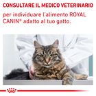 Royal Canin Veterinary Diet Cat Mature Consult 1,5 kg