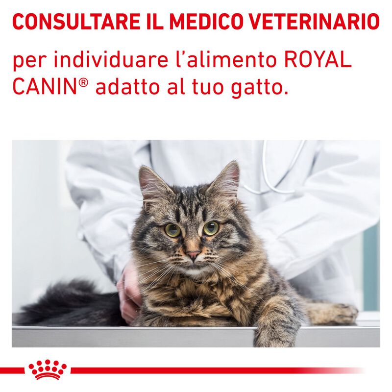 Royal Canin Veterinary Diet Cat Mature Consult 1,5 kg