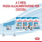 Royal Canin Dog Adult e Puppy Starter 195 gr