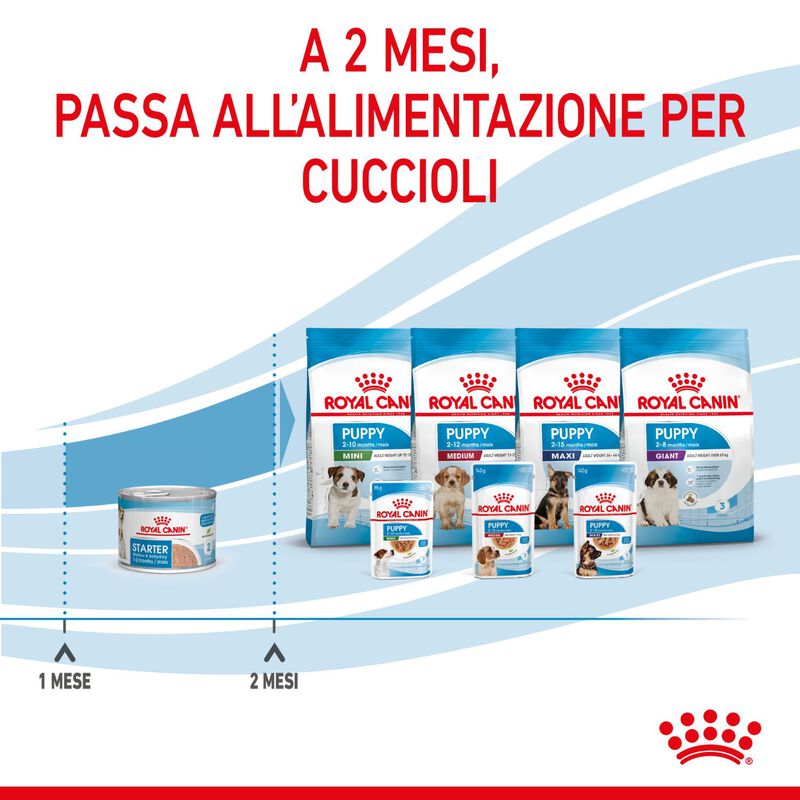 Royal Canin Dog Adult e Puppy Starter 195 gr