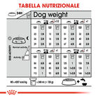 Royal Canin Dog Mini Adult e Senior Digestive Care 1 kg