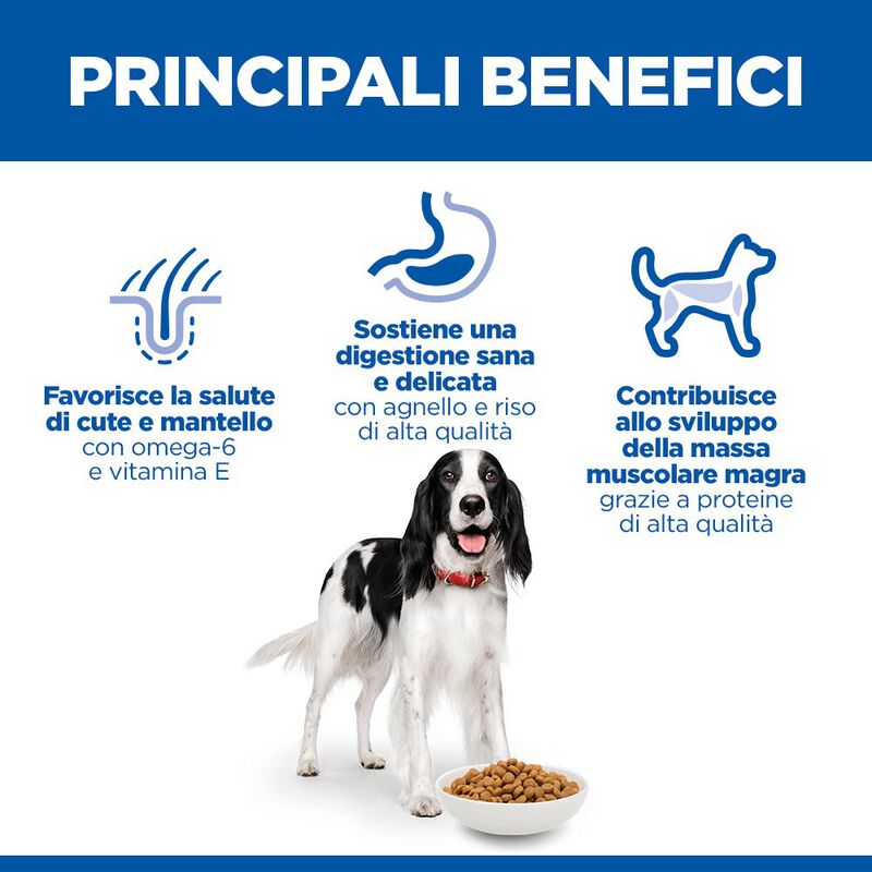 Hill's Science Plan Dog Medium Adult con Agnello e Riso 18 kg