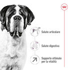 Royal Canin Dog Giant Adult 15 kg