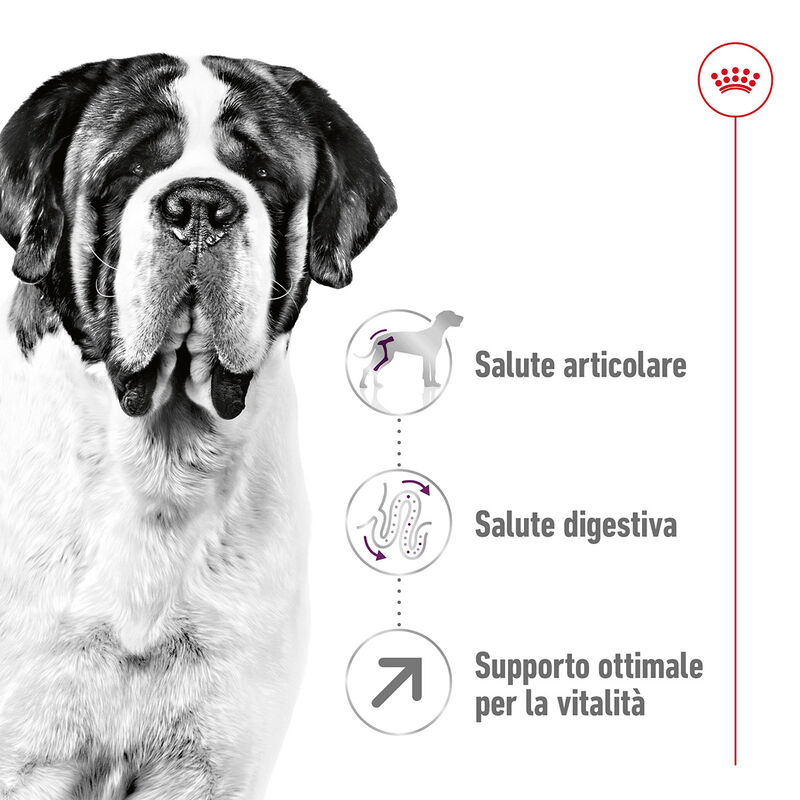 Royal Canin Dog Giant Adult 15 kg