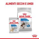 Royal Canin Dog Adult Medium Light Weight Care 12 kg 