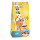 Friskies Cat Adult con Salmone e con Verdure 2 kg