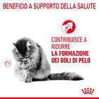 Royal Canin Cat Adult Hairball Care 2 kg