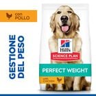 Hill's Science Plan Dog Perfect Weight Large Breed Adult con Pollo 12 kg