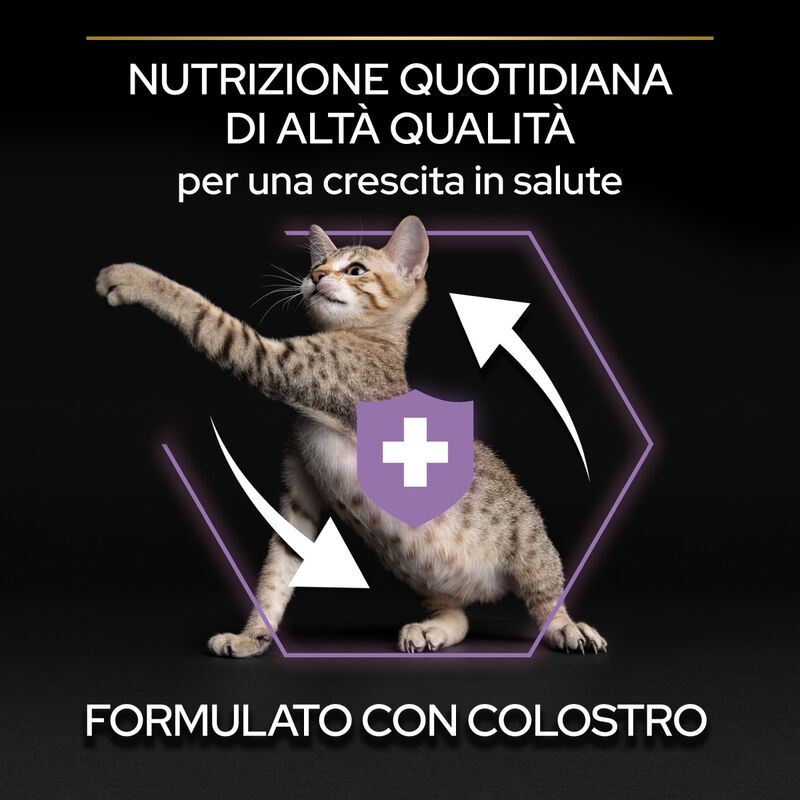 Purina Pro Plan Healthy Start Cat Kitten 1-12 mesi Pollo 1,5 kg